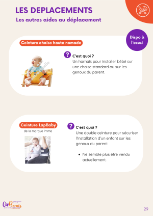 Miniatude de la page 29